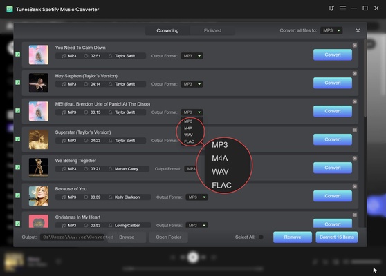 TunesBank Music Converter screenshot 1