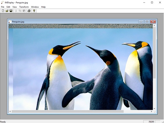 ImageMagick screenshot 1