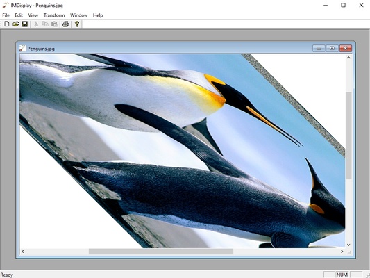 ImageMagick screenshot 1