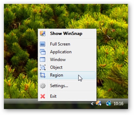 WinSnap screenshot 1