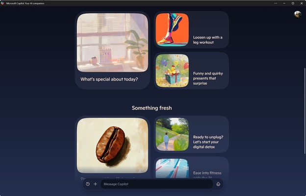 Microsoft Copilot screenshot 1
