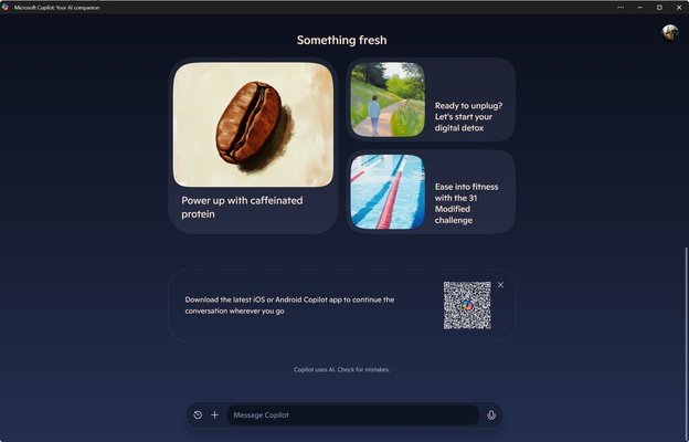 Microsoft Copilot screenshot 1