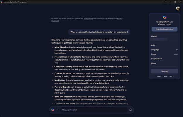 Microsoft Copilot screenshot 1