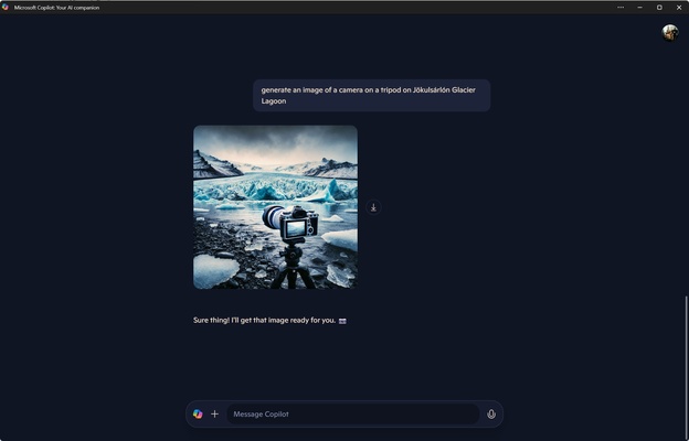 Microsoft Copilot screenshot 1