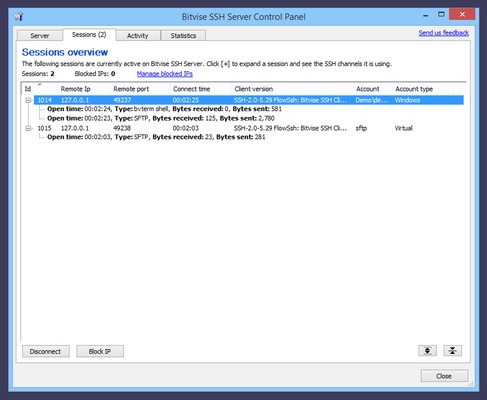 Bitvise SSH Client screenshot 1