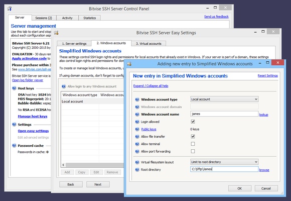 Bitvise SSH Client screenshot 1