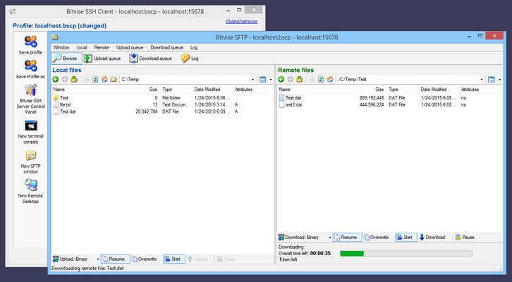 Bitvise SSH Client screenshot 1