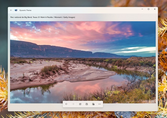 Dynamic Theme screenshot 1
