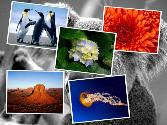 gPhotoShow screenshot 1