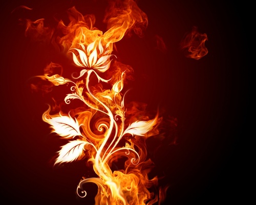 Red Fire Windows Theme screenshot 1