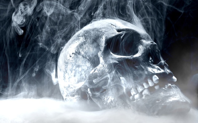 Fire Skull Screensaver screenshot 1