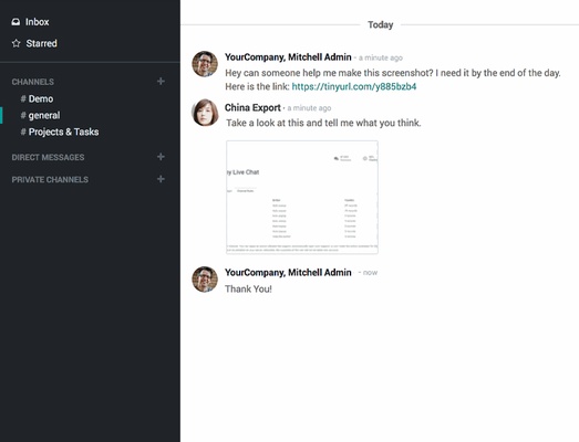 Odoo screenshot 1