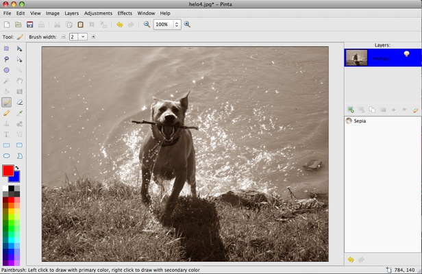 Pinta screenshot 1