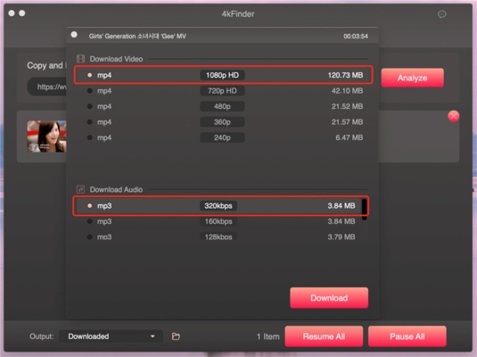 4kFinder Video Downloader screenshot 1