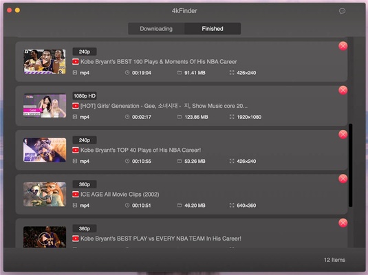 4kFinder Video Downloader screenshot 1