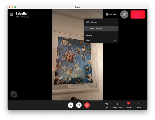 Skype screenshot 1