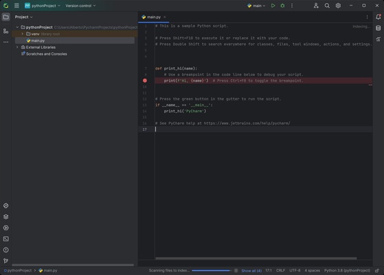 PyCharm Professional screenshot 1