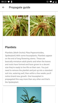 PlantIn screenshot 1