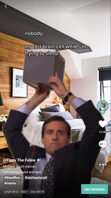CapCut screenshot 1