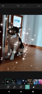 PicsArt screenshot 1