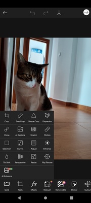 PicsArt screenshot 1