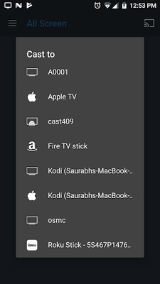 All Screen Video Cast screenshot 1