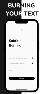 VidSub screenshot 1