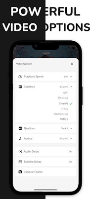 VidSub screenshot 1