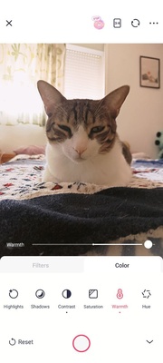 Meitu screenshot 1
