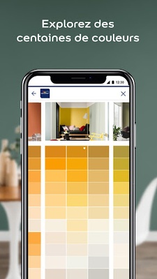 Dulux Valentine screenshot 1
