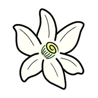 AzaharPlus icon