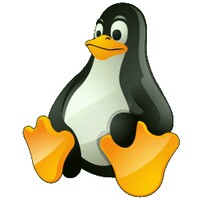 wsltty icon