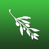 Olive icon