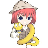 RenPy icon