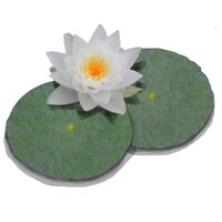 LilyPond icon