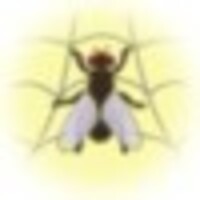 WebLight icon