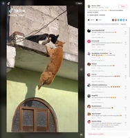 TikTok screenshot 1