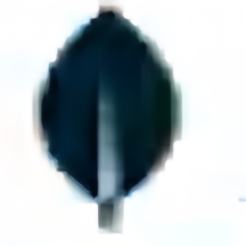 MongoDB Compass icon