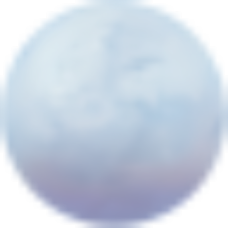 Portable Pale Moon icon
