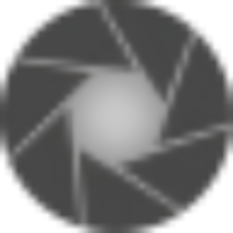 Ansel icon