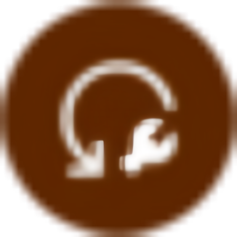 Argente System Repair icon