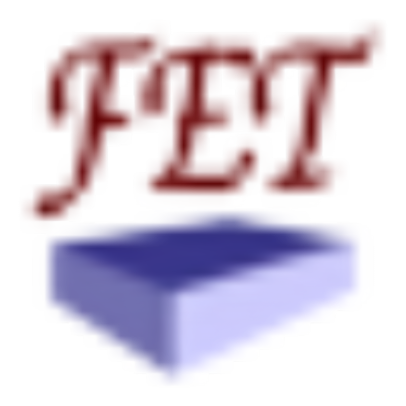 FET icon