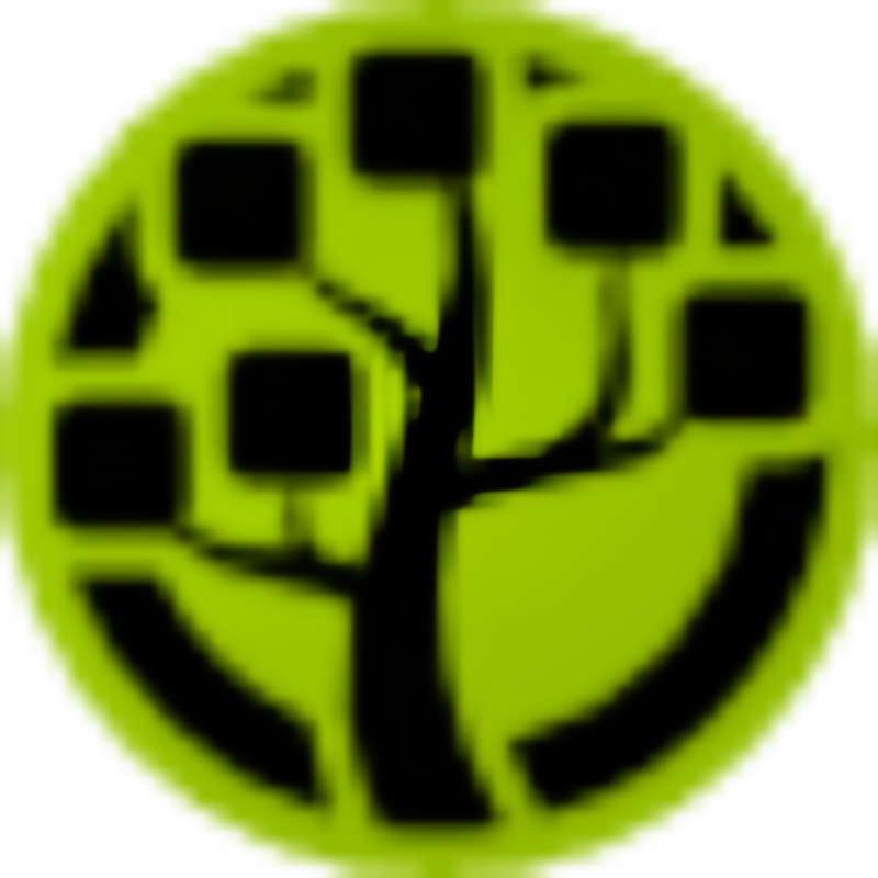 WinDirStat icon