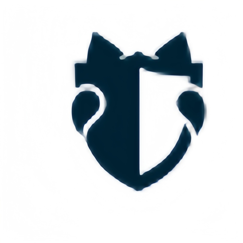HideMy.name VPN icon