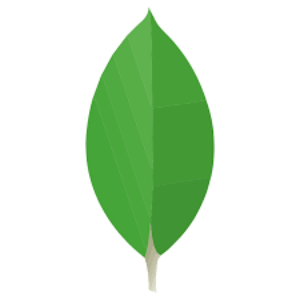 MongoDB 8.3.3 for Mac icon