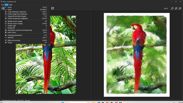 FotoSketcher 4.30 screenshot 1