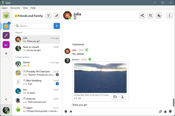 Gajim 2.4.7 screenshot 1