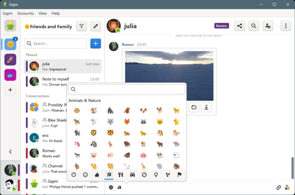 Gajim 2.4.7 screenshot 1