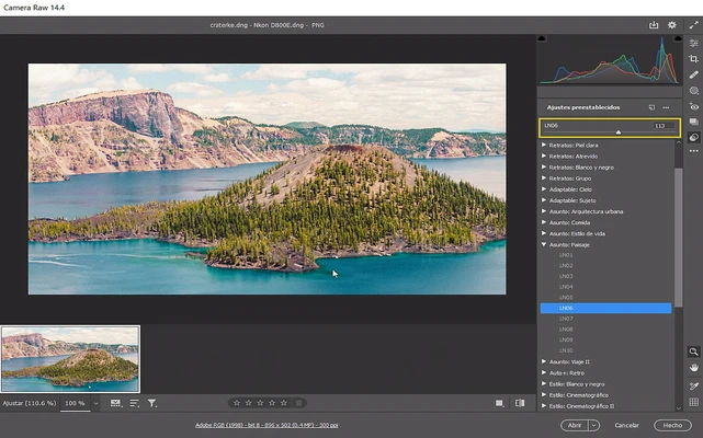 Adobe Camera Raw 18.4 screenshot 1