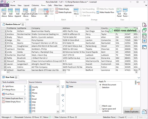 Rons Data Edit 2026.07.03.1112 screenshot 1